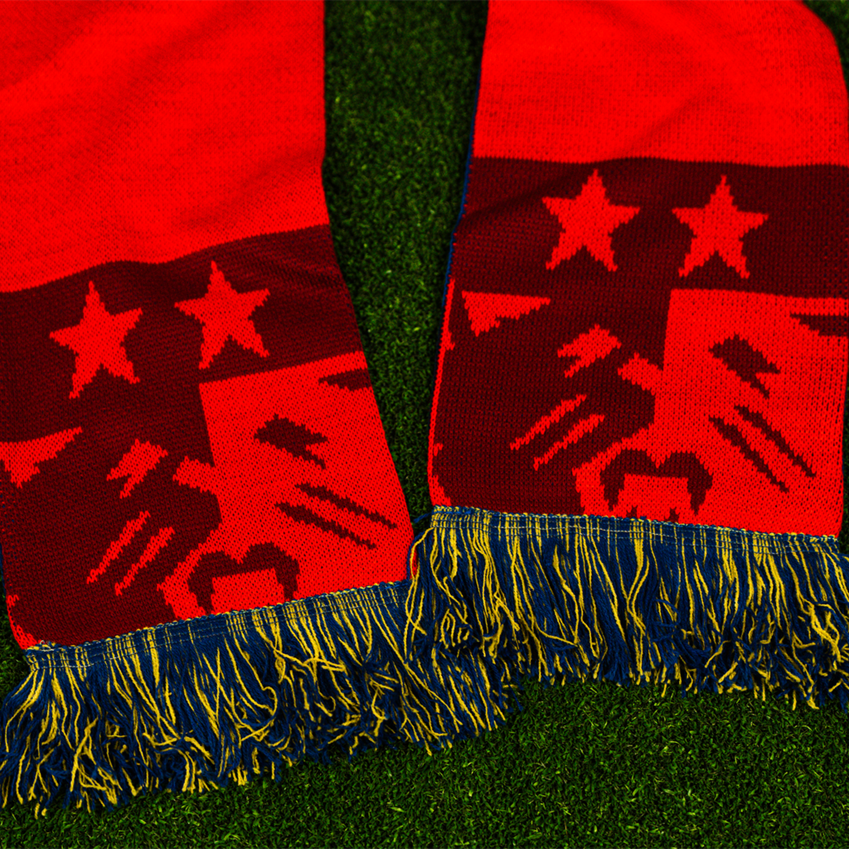 NC Courage Script Knit Scarf